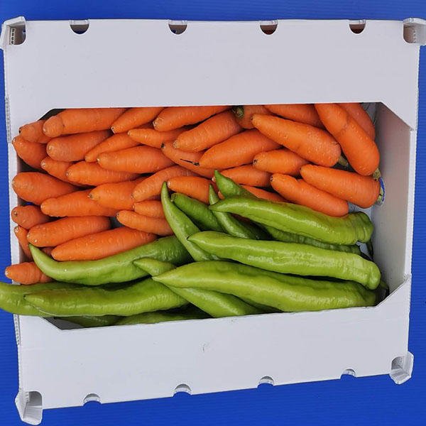 为什么中空板箱可以用来装蔬菜